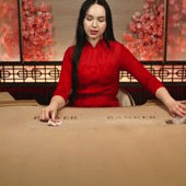 Speed Baccarat V live casino game