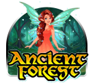 Ancient Forest