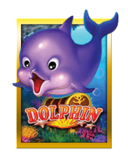 Dolphin