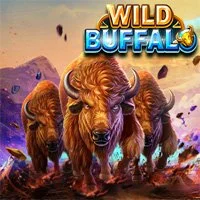 Wild Buffalo - Play at A66 Malaysia